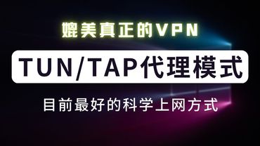 【进阶•代理模式篇】看懂就能解决99%的代理问题，详解系统代理、TUN/TAP代理、真VPN代理，clash/v2ray/singbox 虚拟网卡怎么接管系统全局流量？什么是真正的VPN？看完就知道了