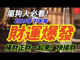屬狗人必看！2025年下半年財運爆發，橫財正財一起來！#生肖 #財運 #運勢 #屬相 #風水 #命理