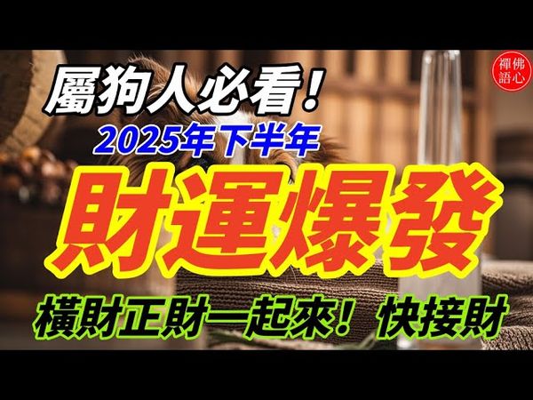 屬狗人必看！2025年下半年財運爆發，橫財正財一起來！#生肖 #財運 #運勢 #屬相 #風水 #命理