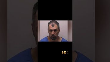 Michigan Walmart stabbing suspect identified, police seek terrorism, assault charges