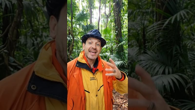 ВОРОНЦОВ НАЧАЛ ЗАНИМАТЬСЯ ЭТИМ С ПОДРОСТКОВОГО ВОЗРАСТА... #НейроКотСПб #Воронцолог #Нейрокот #Стрим