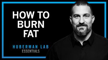 Lose Fat With Science-Based Tools | Huberman Lab Essentials