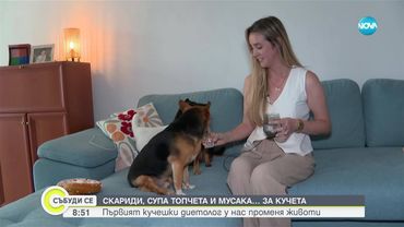 Кучешко здраве от кухнята: Първият нутриционист за любимци у нас