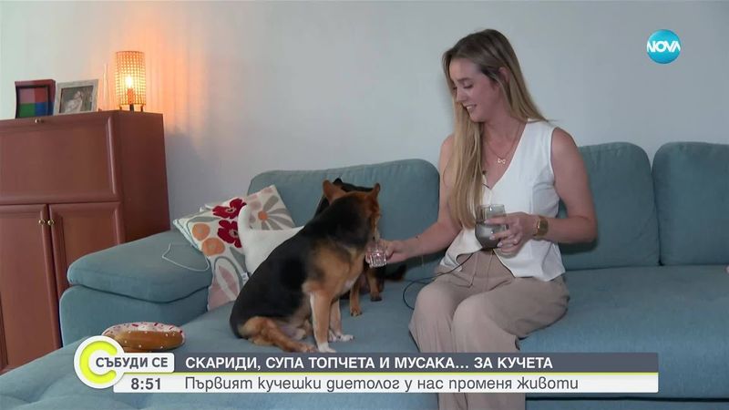 Кучешко здраве от кухнята: Първият нутриционист за любимци у нас