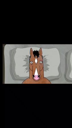 me core @️No Name @ⲛυʀ🫩 #bojackhorseman #mecore #боджек #4сезон #6серия 