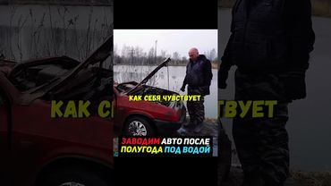 Спустя пол года под водой заводим авто💀Получится? #авто #машины