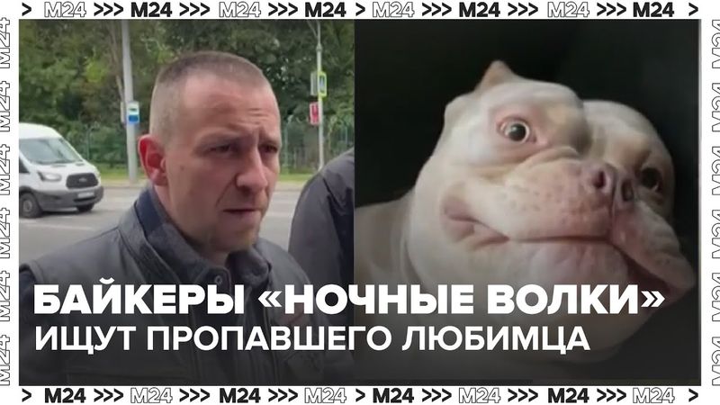 Байкеры «Ночные волки» ищут пропавшего любимца: история американского були Босса