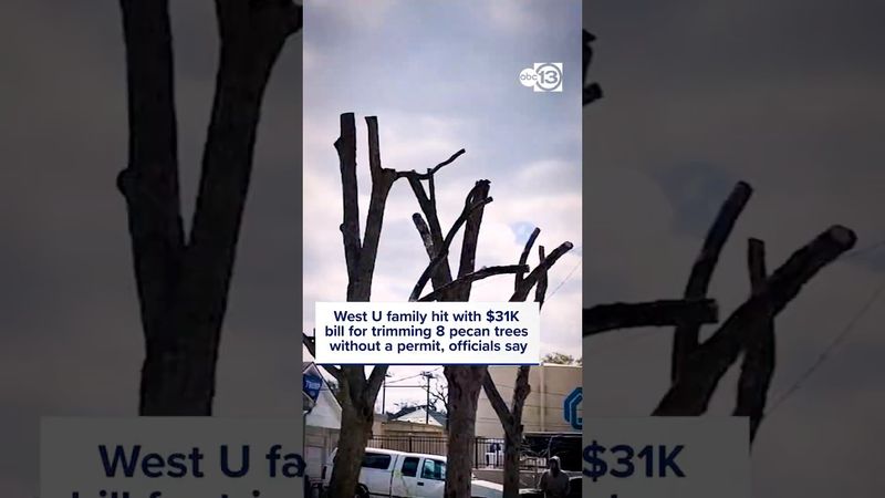 West U family faces $31K bill after 8 pecan trees were trimmed without permit, officials say