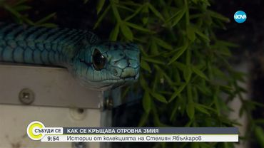 Пътуващ терариум с екзотични влечуги гостува във Варна - Събуди се...(16.08.2025)