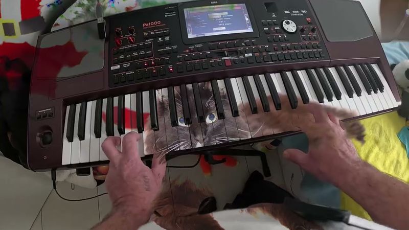 Отель.#korg#piano #музыкальность #самоучка #синтезатор #cover +#музика