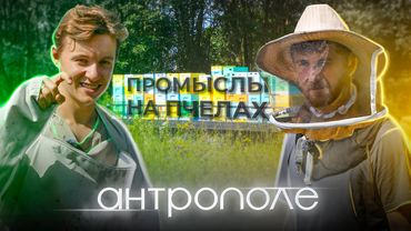 Кто и как эксплуатирует пчелу?