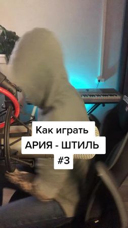 Как круто играть Ария - Штиль на акустике