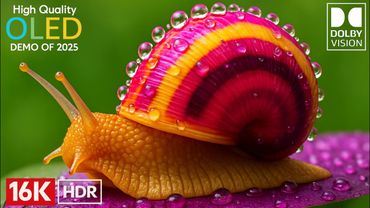 16K Video Ultra HD - Experience The Best Relaxing Music & Nature Scenery ( 16K VISION )