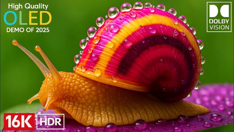 16K Video Ultra HD - Experience The Best Relaxing Music & Nature Scenery ( 16K VISION )