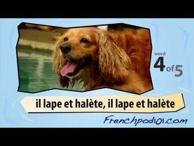 Learn French with Videos - At the Table