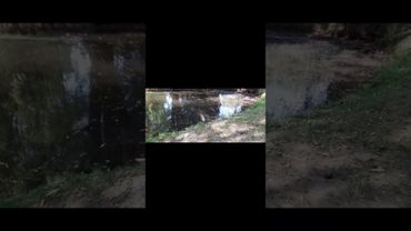 Наш візит до зоологічних садів