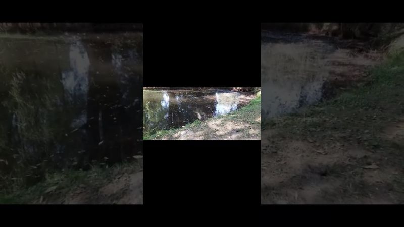 Наш візит до зоологічних садів