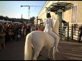 L'Anno Del Coniglio Bianco. By Franco Losvizzero 2011-Performance. Macro Museum