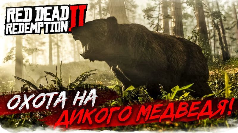 ОХОТА НА ОГРОМНОГО ДИКОГО МЕДВЕДЯ! ЧТО ПРОИСХОДИТ?! (RED DEAD REDEMPTION 2 #4)