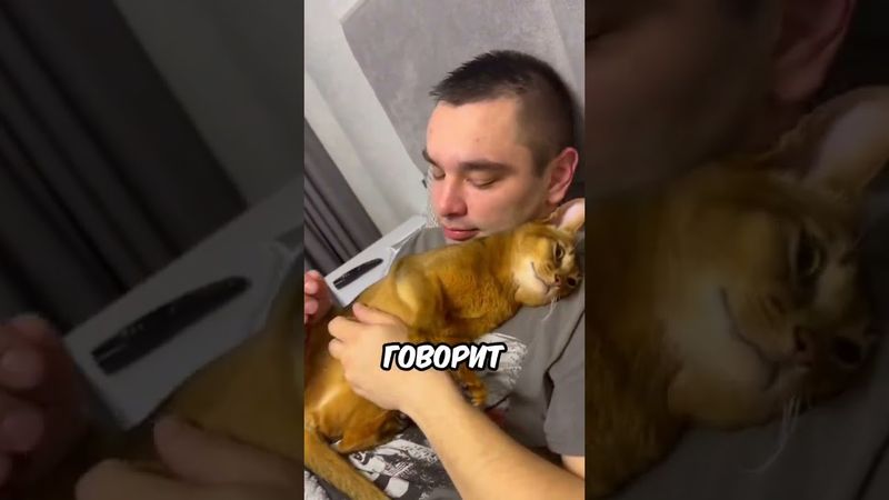 Вот почему ваш кот/кошка приносят мышей или птиц в дом 😊 #хочуврек #кот #кошка #shorts