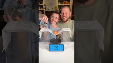 🥚 + 🧻 #games #игры #fungames #boardgames #веселыеигры #play #challenge