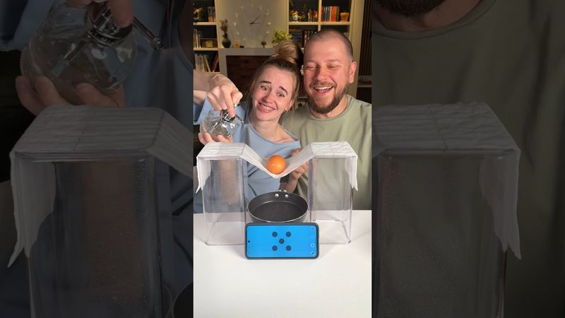 🥚 + 🧻 #games #игры #fungames #boardgames #веселыеигры #play #challenge