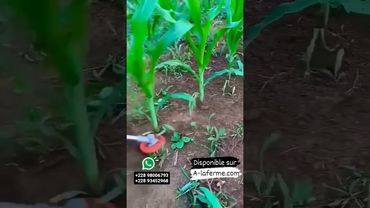 Machine agricole de sarclage multifonction #agriculture #machineagricole #afrique