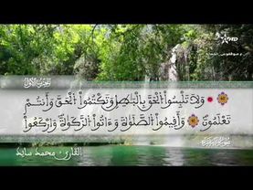 الحزب 1: القارئ محمد سايد