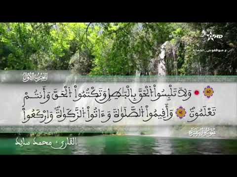 الحزب 1: القارئ محمد سايد