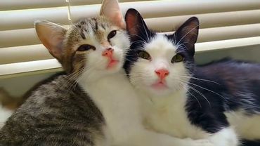 #Славянск. 17 октября 2025г. Вечер.