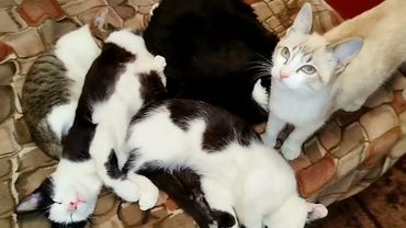 #Славянск. 20 октября 2025г. Вечер.