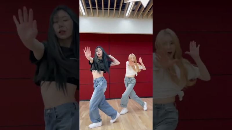 #KnockChallenge With #채령🤍#이채연 #LEECHAEYEON #KNOCK