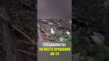 СПЕЦИАЛИСТЫ НА МЕСТЕ КРУШЕНИЯ АН-24