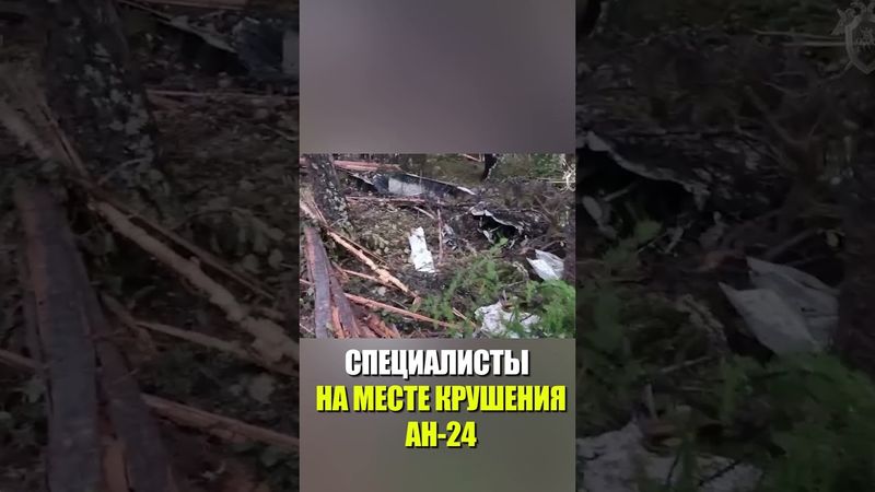 СПЕЦИАЛИСТЫ НА МЕСТЕ КРУШЕНИЯ АН-24