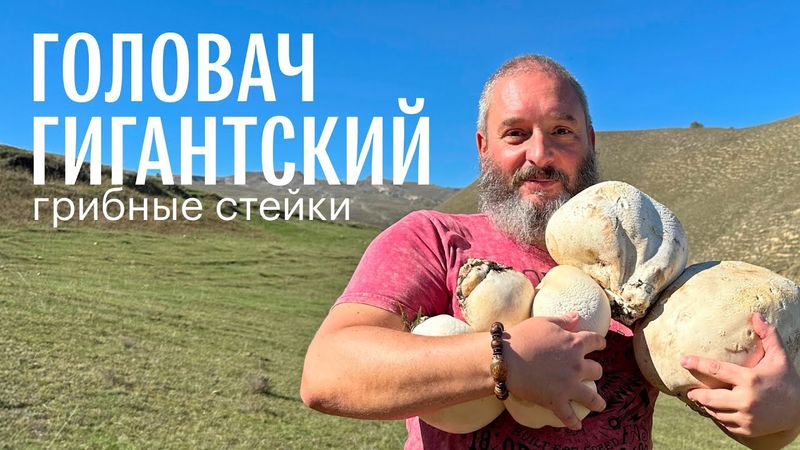 Головач гигантский. Собираем в горах и готовим стейки. Михаил Вишневский