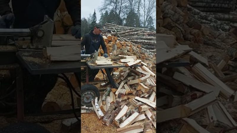 Дровокол ГОРЫНЫЧ