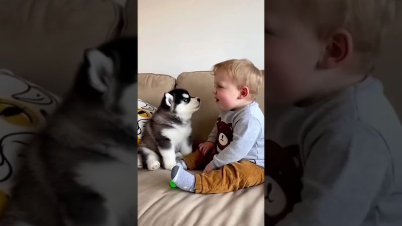 Só fofuras 🥰👶🏼🐾