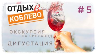 🍷 Отдых в Коблево. Экскурсия на винзавод. Дегустация вин и не только