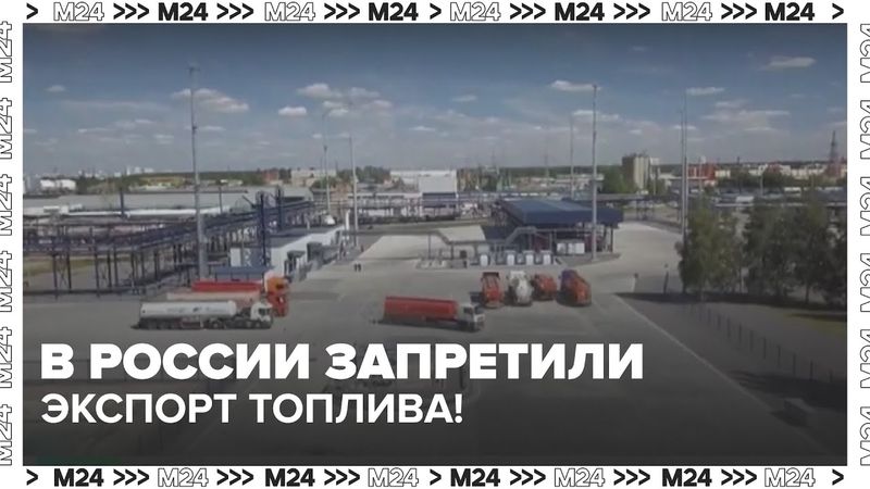 Бензин подешевеет? В России запретили экспорт топлива!