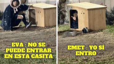 EMETSUKI ENTRA EN LA CASA DE MOSTAZA