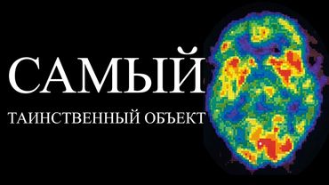 Видео, которое Вас оскорбит | ALI