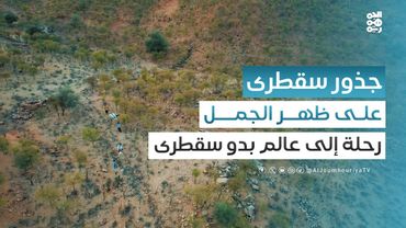 على ظهر الجمل.. رحلة استكشافية لحياة البدو في سقطرى | ﺟﺬور ﻣﻦ ﺳﻘﻄﺮى