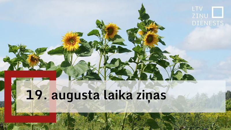 19. augusta laika ziņas