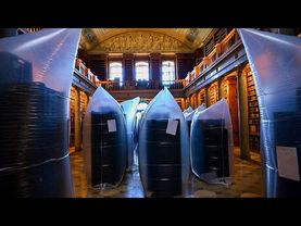 Medieval Hungarian library battles beetle infection to save national treasures
