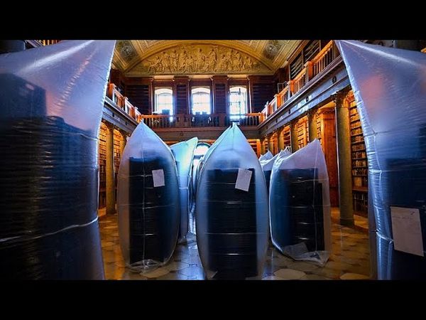 Medieval Hungarian library battles beetle infection to save national treasures