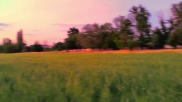 спасибо ей, за лето