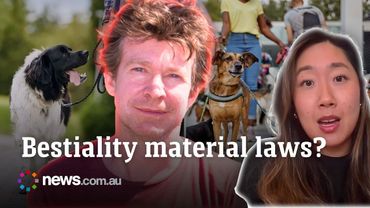 Calls to implement national bestiality material laws