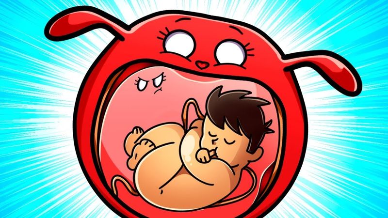 Что происходит с органами во время беременности?