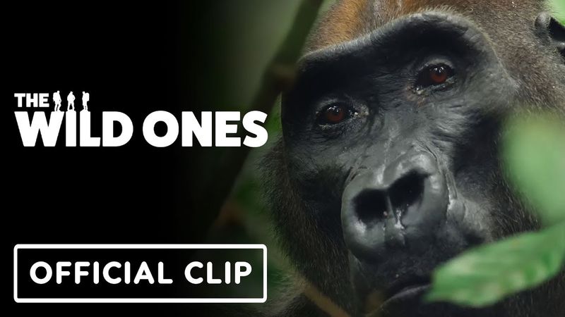 The Wild Ones - Exclusive "First Gorilla" Clip (2025)
