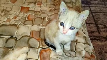 #Славянск. 4 августа 2025г. Вечер.